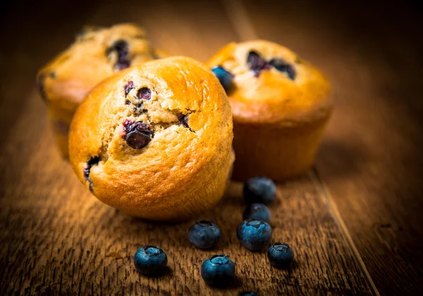 Muffins de arándanos recién horneados - Imagen de stock —  Fotos de Stock