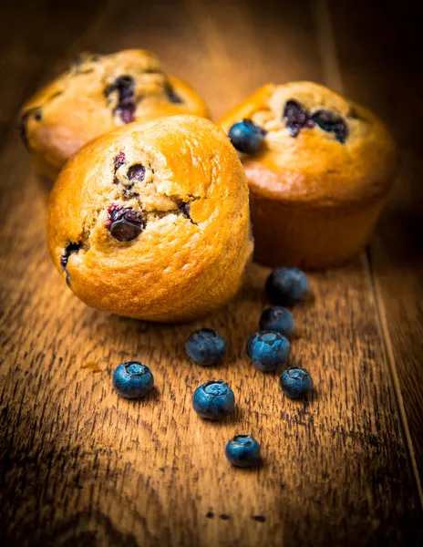 Muffins aux myrtilles faits maison — Photo