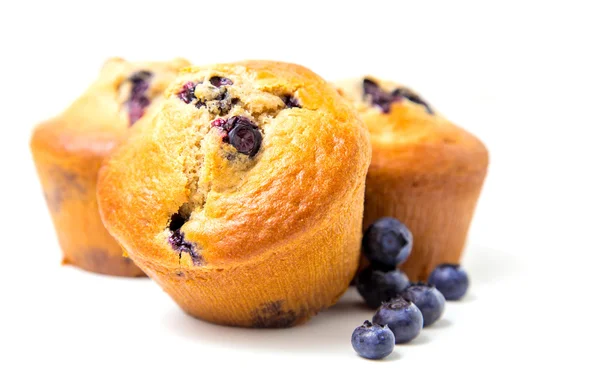 Ev yapımı blueberry muffins — Stok fotoğraf