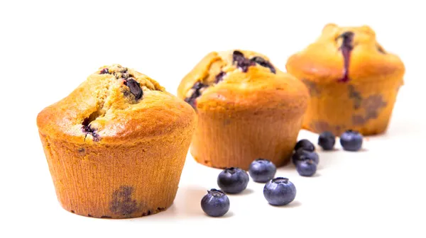 Ev yapımı blueberry muffins — Stok fotoğraf