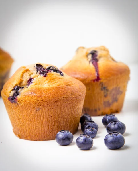 Muffins de arándanos —  Fotos de Stock