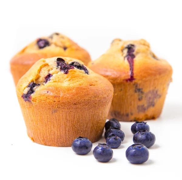 Muffin ai mirtilli — Foto Stock