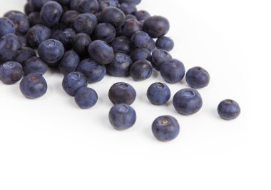 yaban mersini - stok görüntü