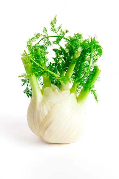 Fenchel - Archivbild — Stockfoto