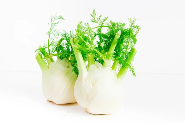 Fennel - Stock Image — Stock Photo, Image