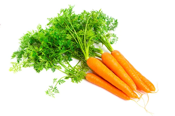 Zanahorias frescas aisladas sobre fondo blanco — Foto de Stock