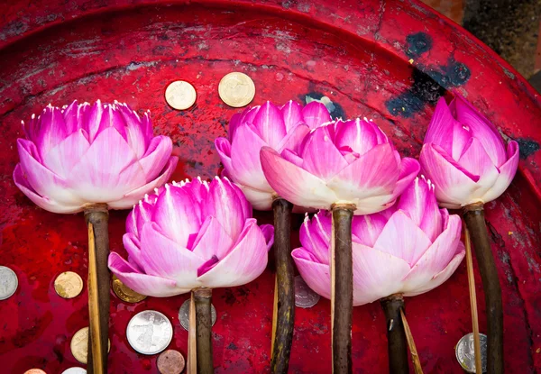 Kwiat lotosu na buddyjskich ceremonii religijnych — Zdjęcie stockowe