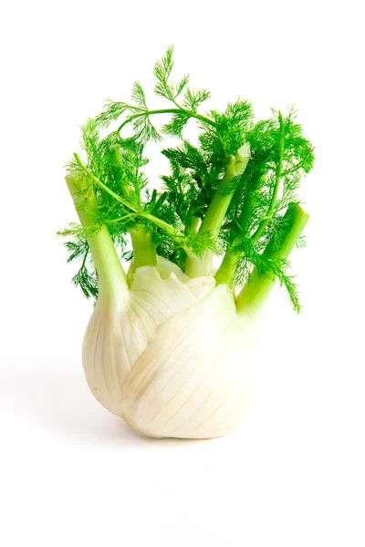 Fenchel isoliert auf weißem Hintergrund — Stockfoto