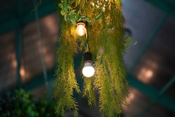 Lamp Opknoping Decoratie Kunstmatige Kleurrijke Fake Plant Opknoping Ondersteboven Voor — Stockfoto