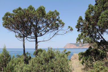 Doğanın Güzelliği