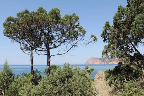 Doğanın Güzelliği