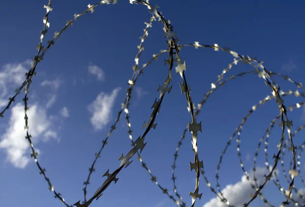 Barbed wire Stock Photo