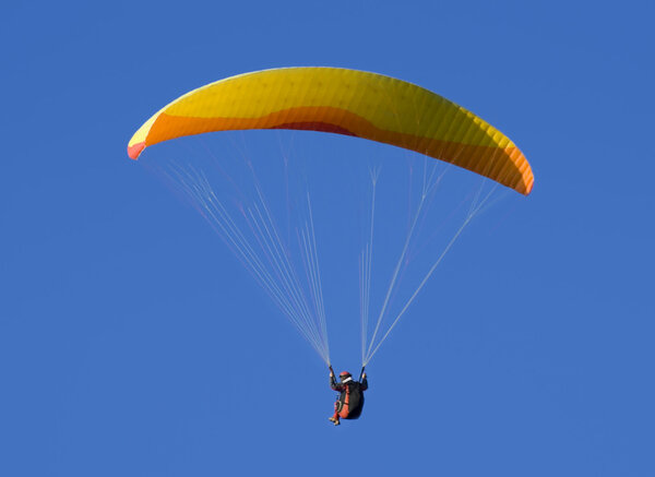 Paraglider