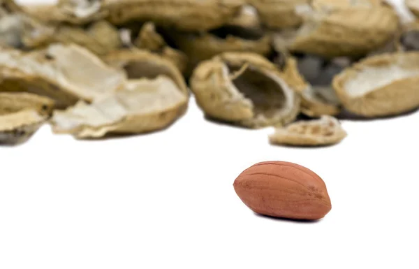Einzelne Erdnüsse mit leeren Schalen — Stockfoto