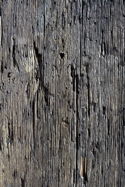 Разлагающаяся поверхность древесины — стоковое фото