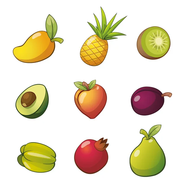 Fruit — Stock Vector