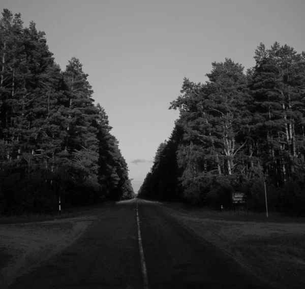 Yaz, sokak, monohrome, gökyüzü