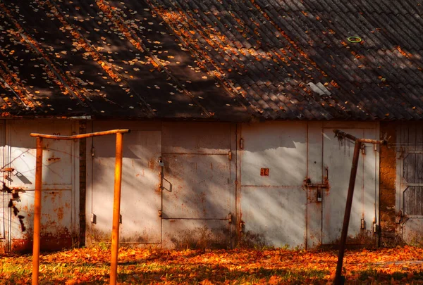 Sokak, minsk, sonbahar, dökülen yapraklar, açık hava, bina, garaj.
