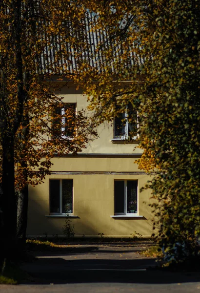Gata Minsk Höst Träd Vittrad Löv Utomhus Byggnad Fönster — Stockfoto