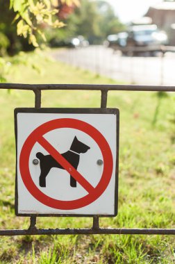 köpek yok