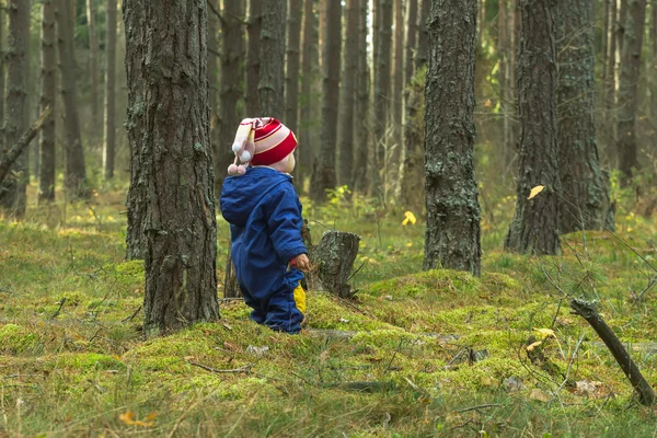 Kleinkind beim Spaziergang im Kiefernwald — Stockfoto