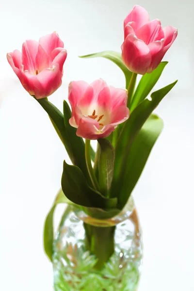 Buquê de tulipas rosa em vaso de cristal facetado — Fotografia de Stock