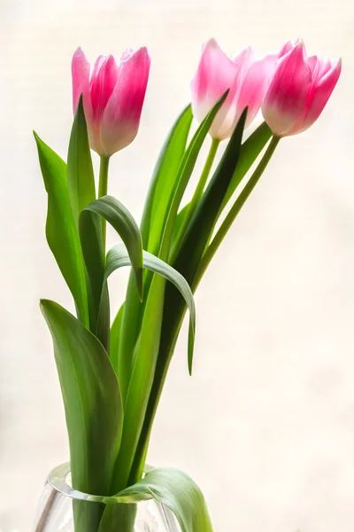 Букет из трех розовых тюльпанов в хрустальной вазе — стоковое фото