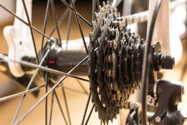 MTB Ritzel