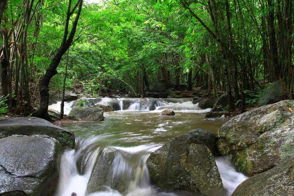 tropikal orman şelale