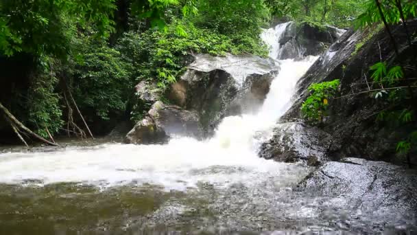 Waterfall in tropical forest — Stock Video