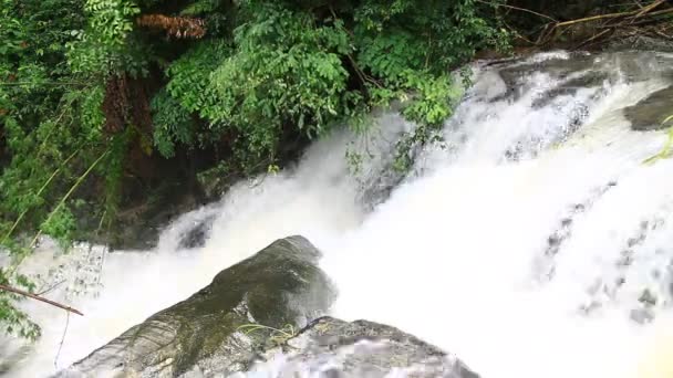 Waterval in tropisch woud — Stockvideo