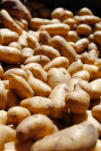 Potatos background — Stock Photo, Image