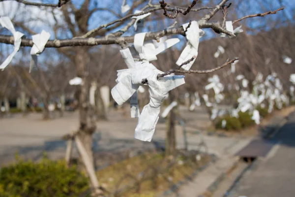 Omikuji Fortunas — Foto de Stock