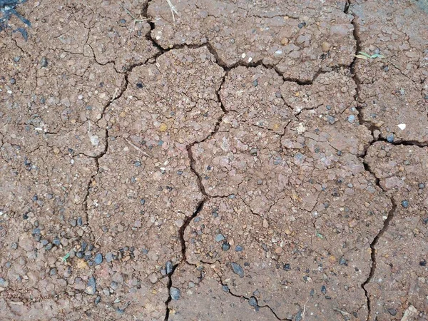 Trockene Rissige Bodenstruktur Hintergrund — Stockfoto