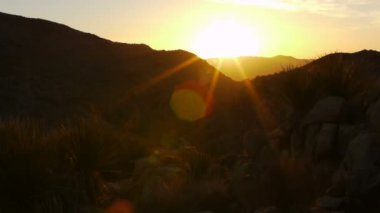 çöl sunrise