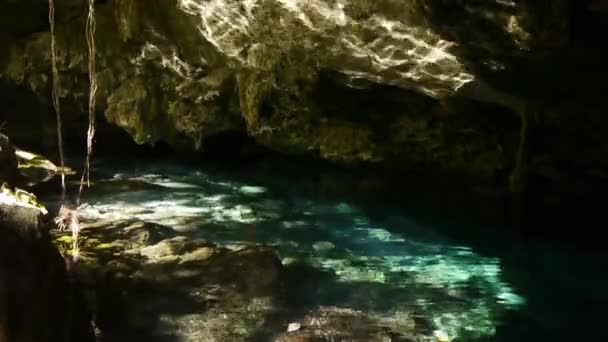 Sacred Mayan Cenote — Stock Video