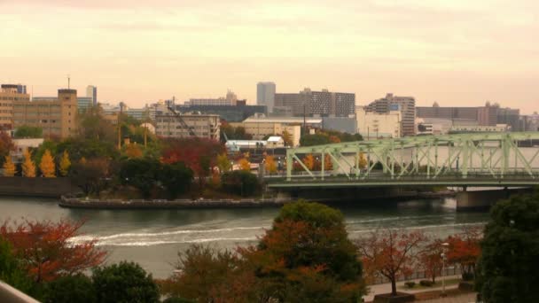 Paysage urbain de Tokyo — Video