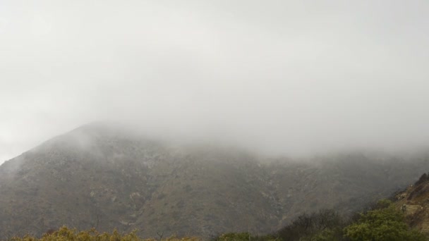 Głębokie mgła nad klif — Wideo stockowe