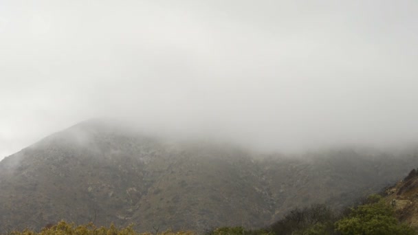 Niebla profunda sobre acantilado costero — Vídeo de stock