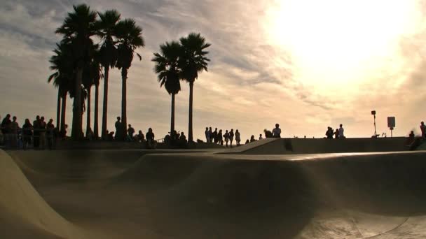 Venice Beach Skateboarder — Video Stock