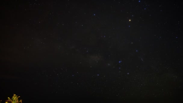 Галактика Млечный Путь и Луна восходят над тропическими пальмовыми джунглями полуострова Юкатан — стоковое видео