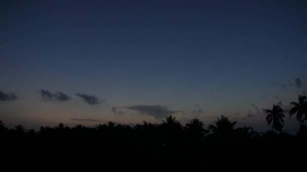 Salida del sol en la selva tropical — Vídeos de Stock