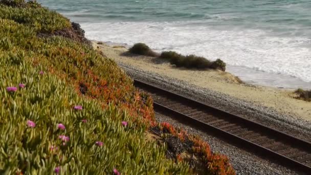 Coastal Railroad — Stok Video