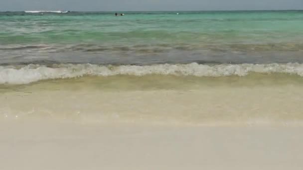 Tropické coral reef beach — Stock video