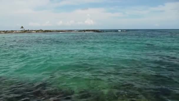 Arrecife de Coral Tropical — Vídeos de Stock