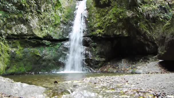 Cascada en bosque profundo — Vídeos de Stock