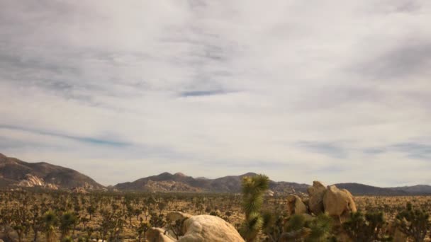 Joshua tree öken molnlandskap — Stockvideo