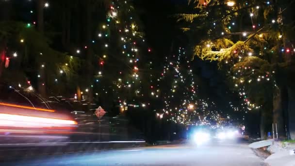 Weihnachtsbeleuchtung — Stockvideo
