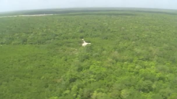 Areal View of Landing into Jungle — Stock Video