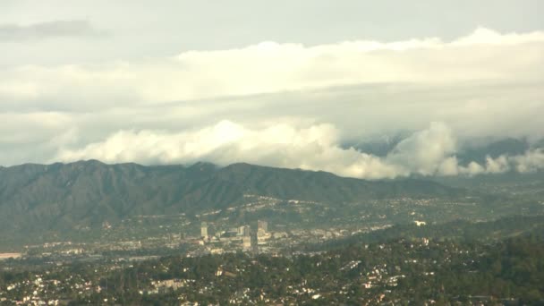 Downtown La — Stockvideo